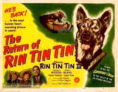 The Return of Rin Tin Tin - Theatrical movie poster