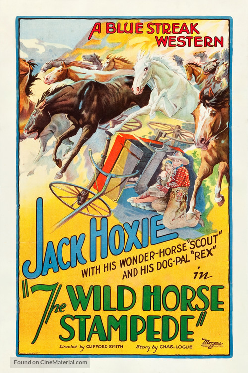 The Wild Horse Stampede - Movie Poster