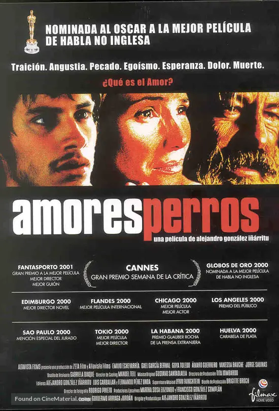 Amores Perros - Spanish poster