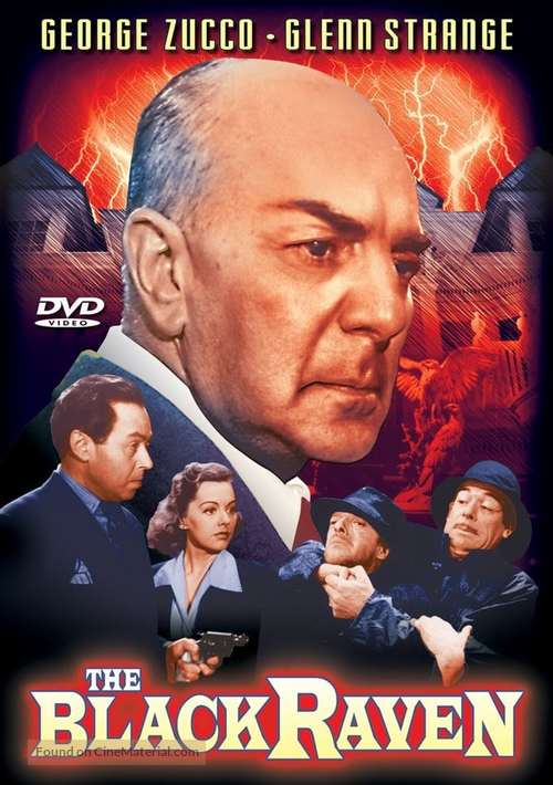 The Black Raven - DVD movie cover