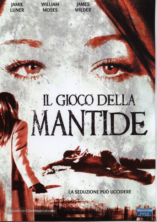 The Perfect Marriage - Italian DVD movie cover
