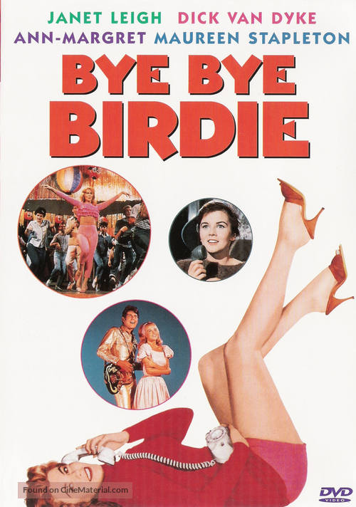 Bye Bye Birdie - DVD movie cover
