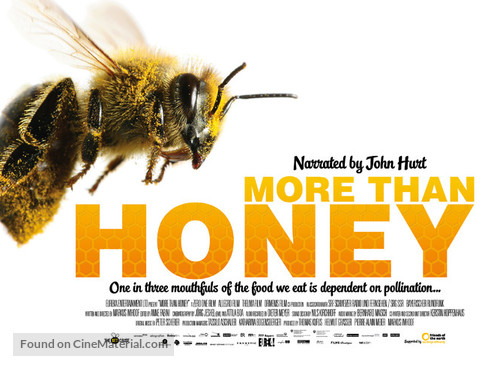 More Than Honey - British Movie Poster