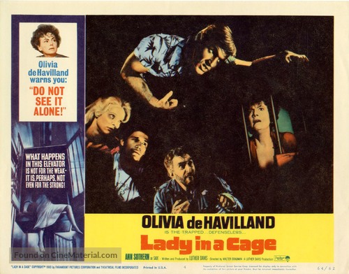 Lady in a Cage - poster