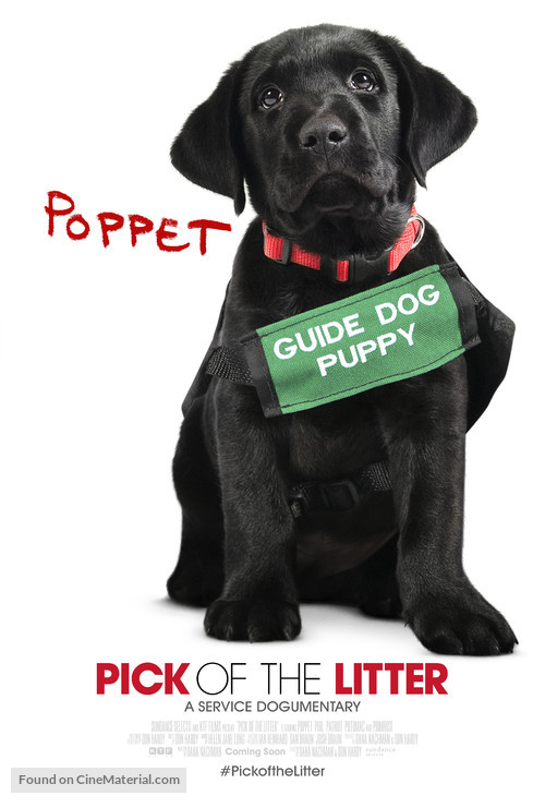 Pick of the Litter - Movie Poster