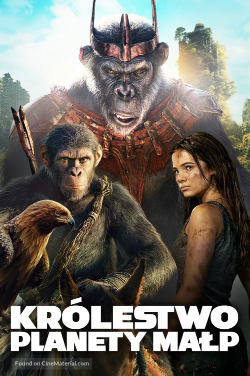 Kingdom of the Planet of the Apes - Polish Video on demand movie cover