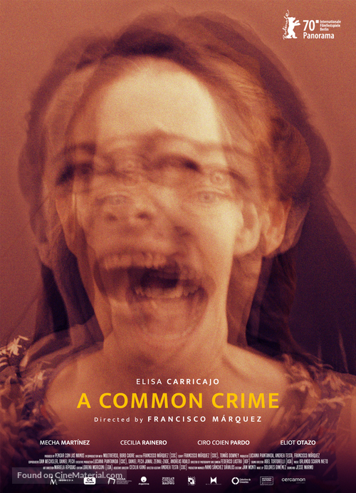 Un crimen com&uacute;n - International Movie Poster