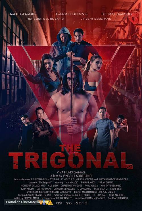 The Trigonal: Fight for Justice - Philippine Movie Poster