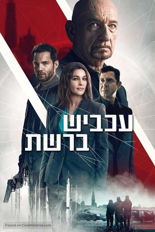 Spider in the Web - Israeli Video on demand movie cover