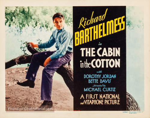 The Cabin in the Cotton - Movie Poster