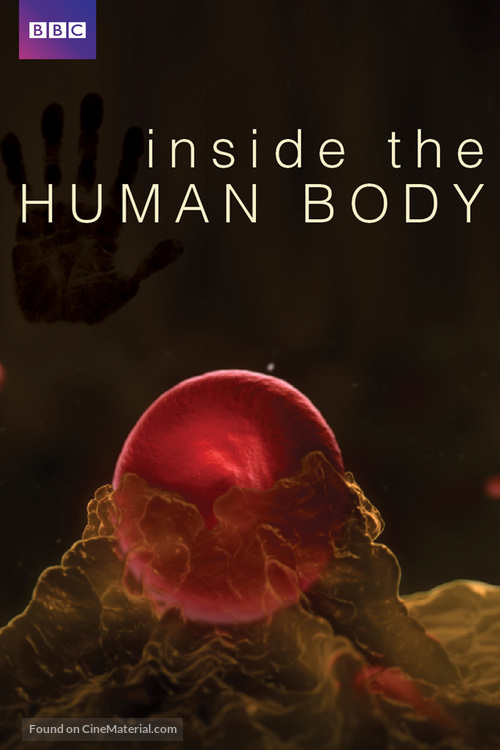 &quot;Inside the Human Body&quot; - DVD movie cover