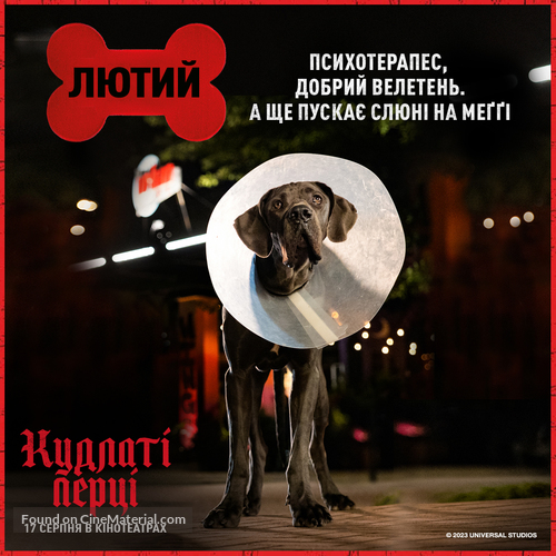 Strays - Ukrainian Movie Poster