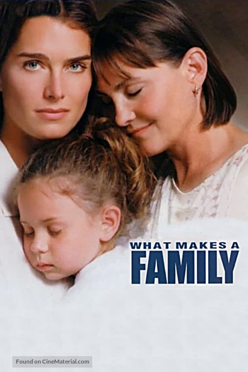 What Makes a Family - Movie Poster