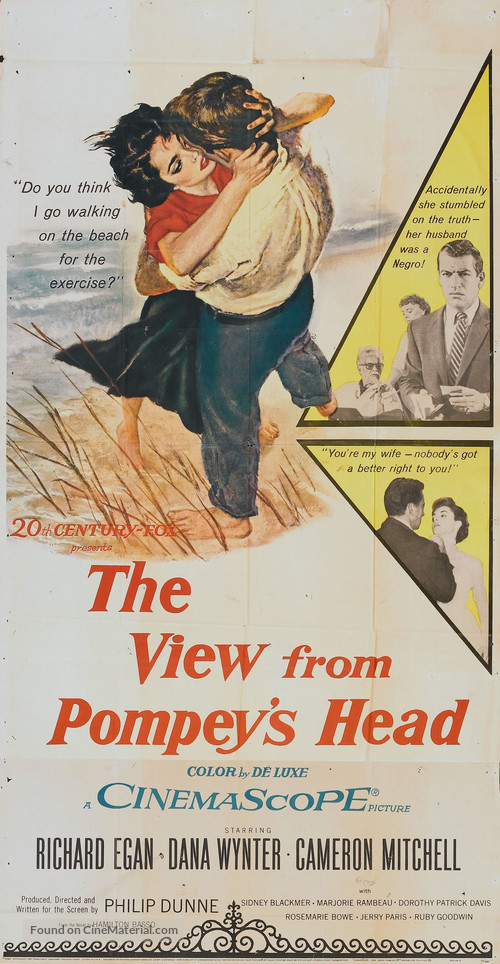 The View from Pompey&#039;s Head - Movie Poster