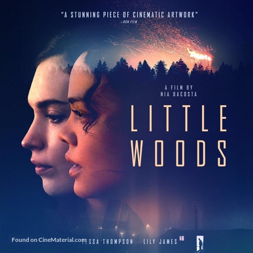 Little Woods - Movie Poster