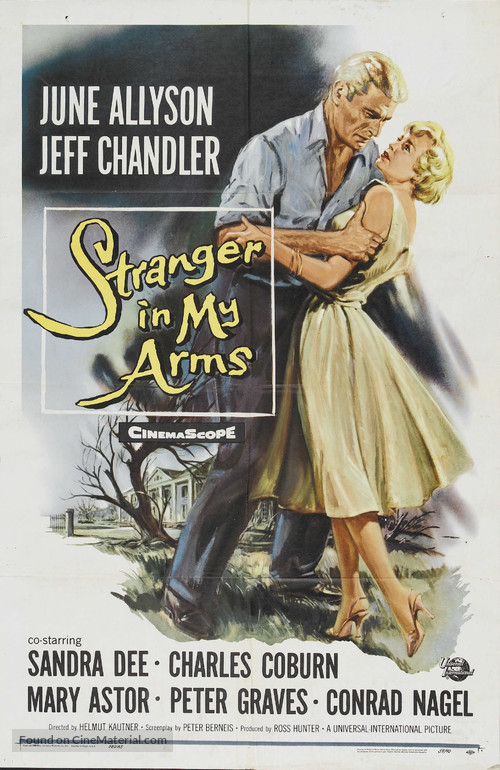 A Stranger in My Arms - Movie Poster