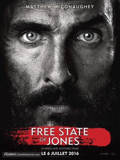 Free State of Jones - French Movie Poster
