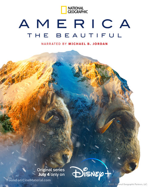 &quot;America the Beautiful&quot; - Movie Poster