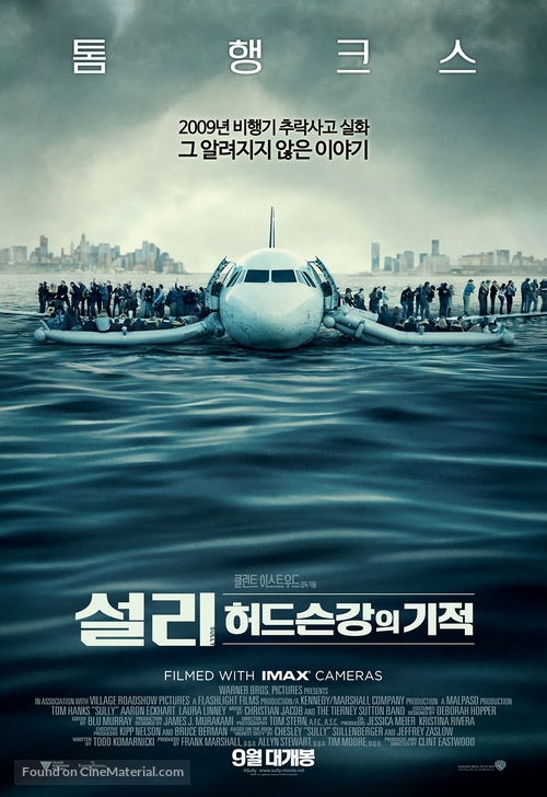 Sully - South Korean Movie Poster