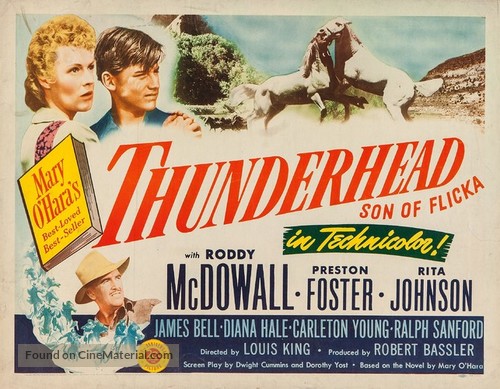 Thunderhead - Son of Flicka - Movie Poster