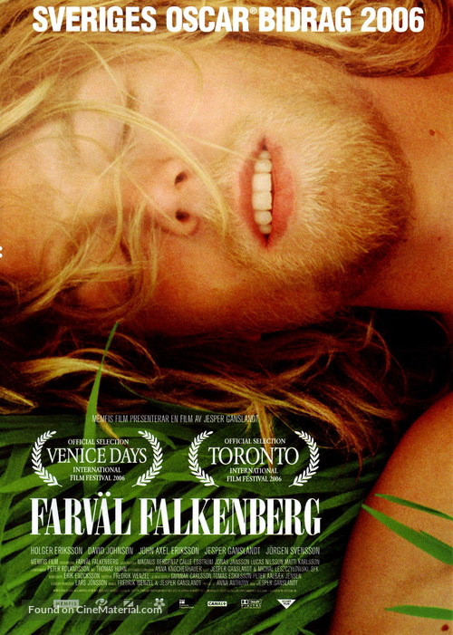 Farv&auml;l Falkenberg - Swedish Movie Poster