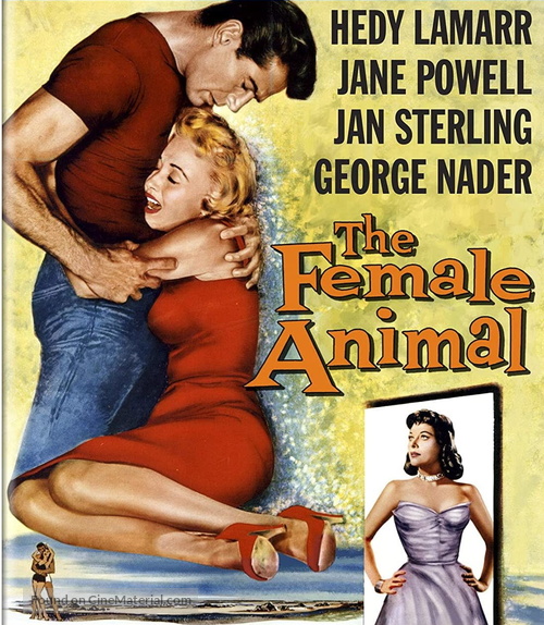 The Female Animal - Blu-Ray movie cover