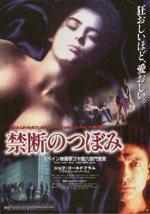 El sue&ntilde;o del mono loco - Japanese Movie Poster