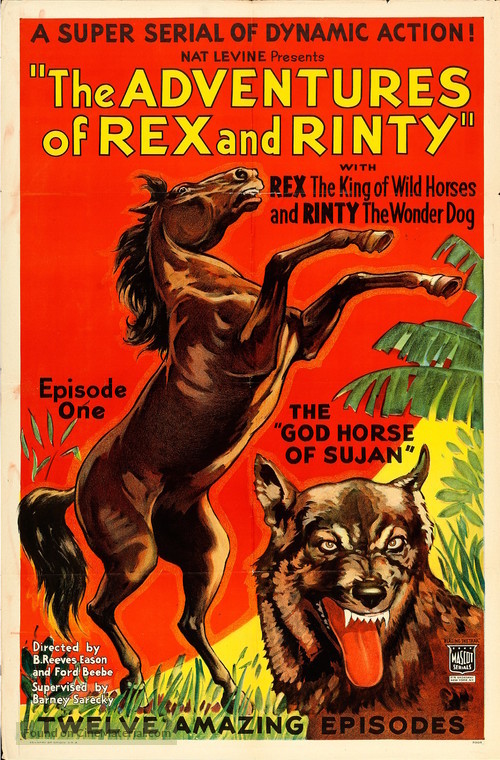 The Adventures of Rex and Rinty - Movie Poster