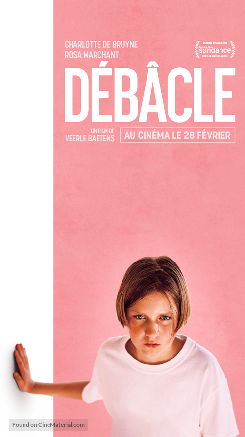 Het smelt - French Movie Poster
