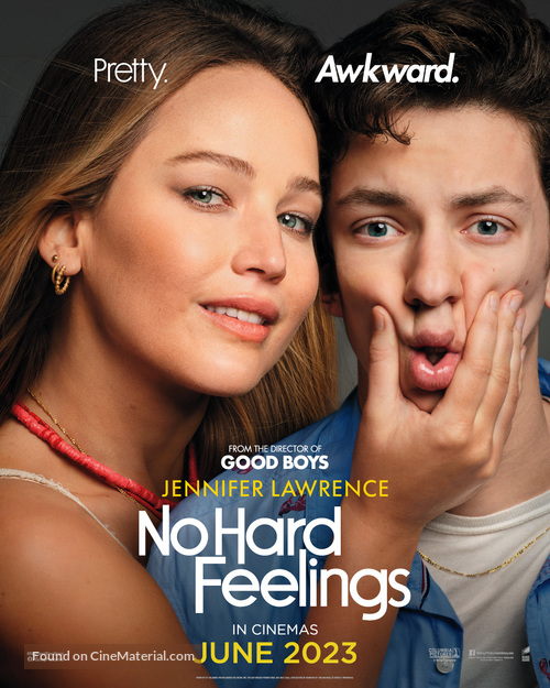 No Hard Feelings - Irish Movie Poster