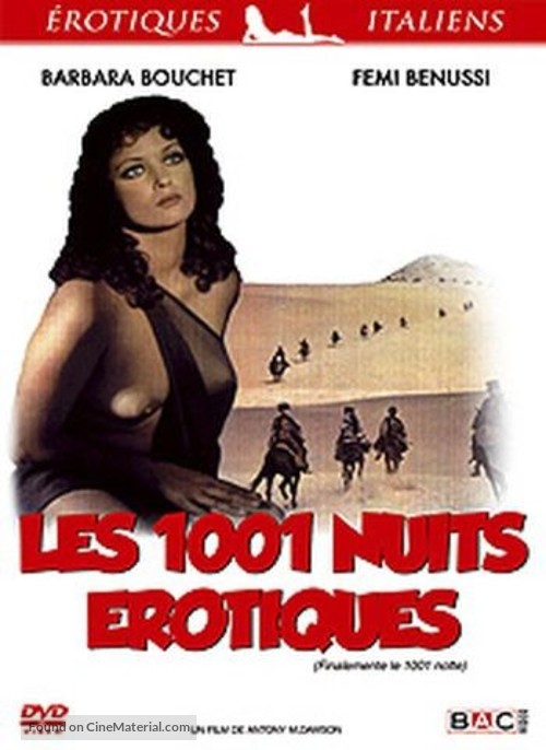 Finalmente... le mille e una notte - French DVD movie cover