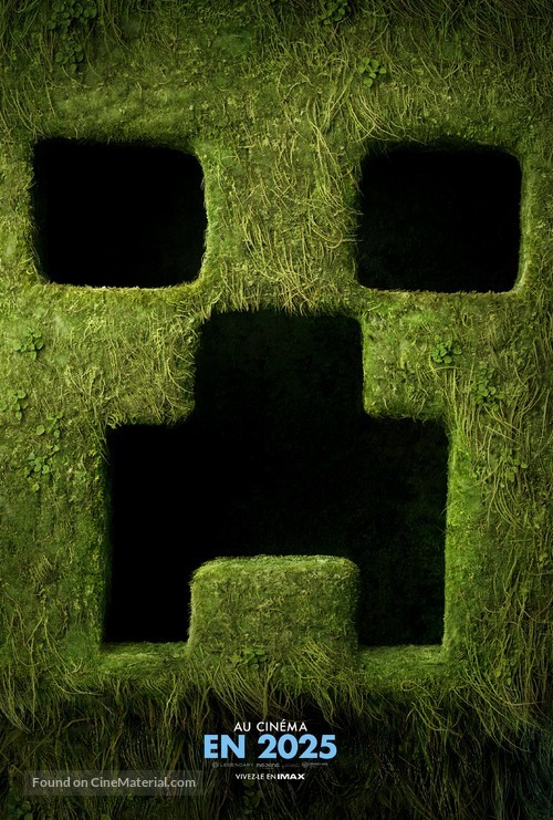 A Minecraft Movie - French Movie Poster