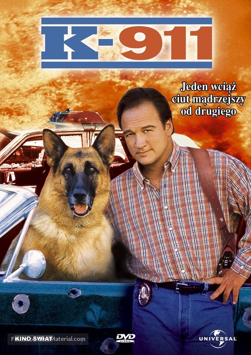 K-911 - Polish DVD movie cover