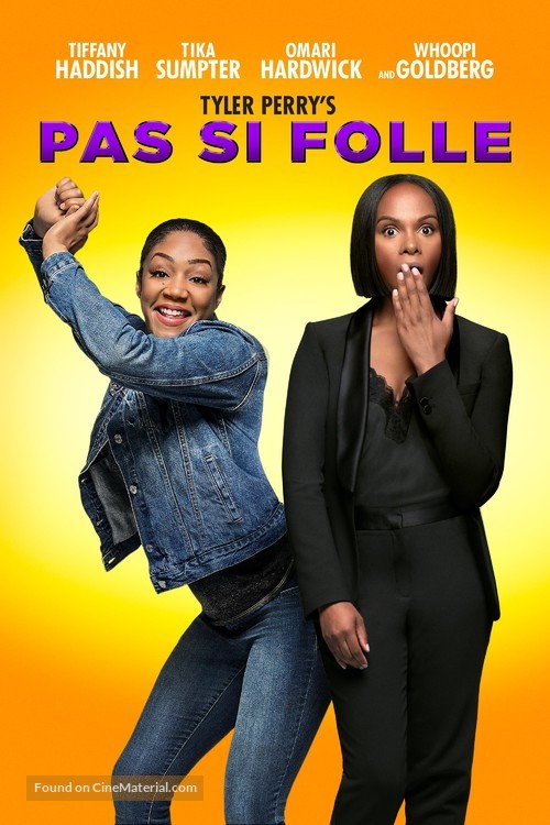 Nobody&#039;s Fool - French DVD movie cover