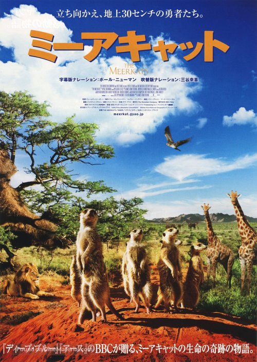 The Meerkats - Japanese Movie Poster