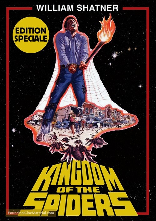 Kingdom of the Spiders - French DVD movie cover