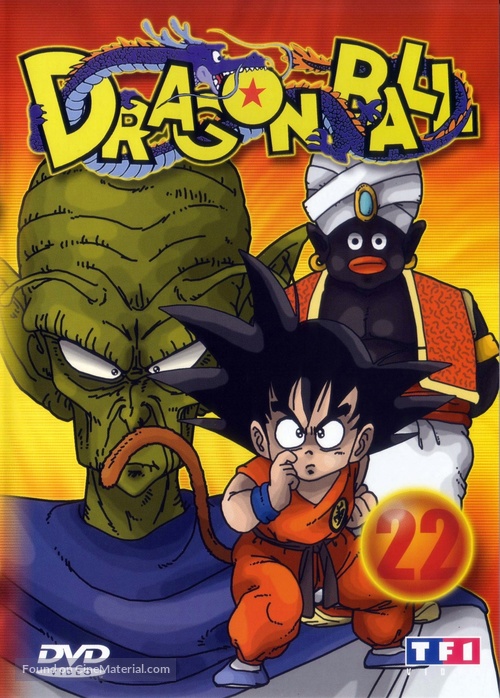 &quot;Dragon Ball&quot; - French Movie Cover