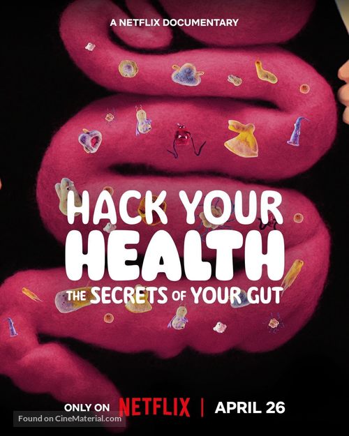 Hack Your Health: The Secrets of Your Gut - Movie Poster