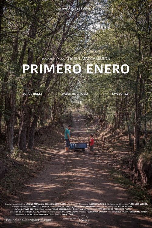 Primero enero - Argentinian Movie Poster