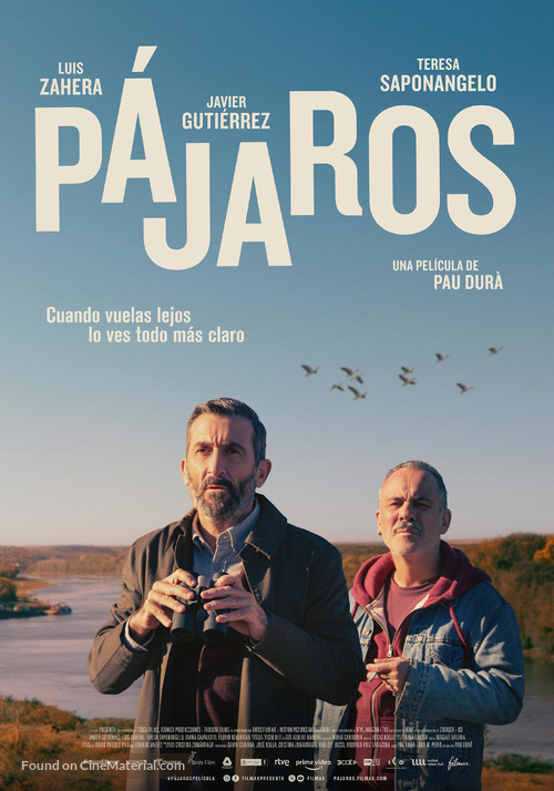P&aacute;jaros - Spanish Movie Poster
