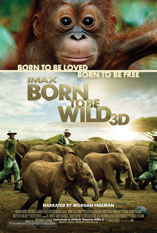 Born to Be Wild - Movie Poster