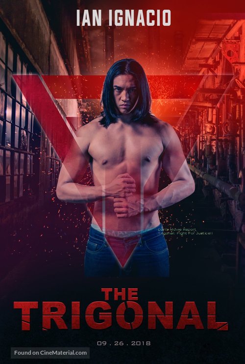 The Trigonal: Fight for Justice - Philippine Movie Poster