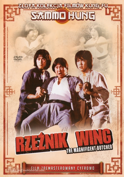 Lin Shi Rong - Polish Movie Poster