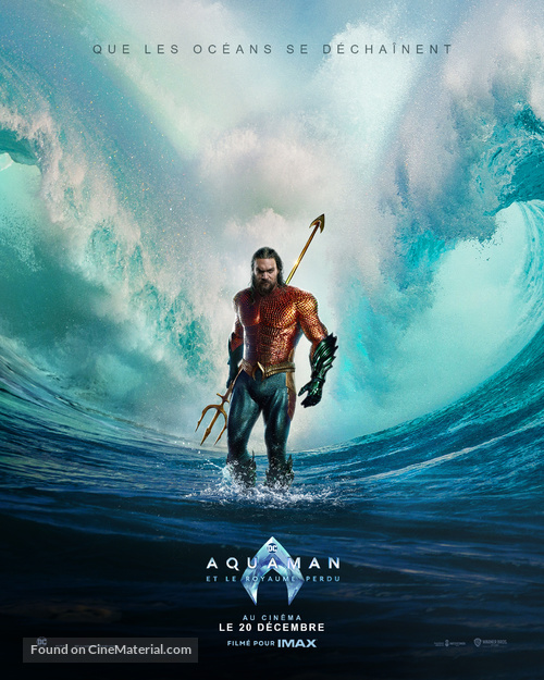 Aquaman and the Lost Kingdom - French Movie Poster