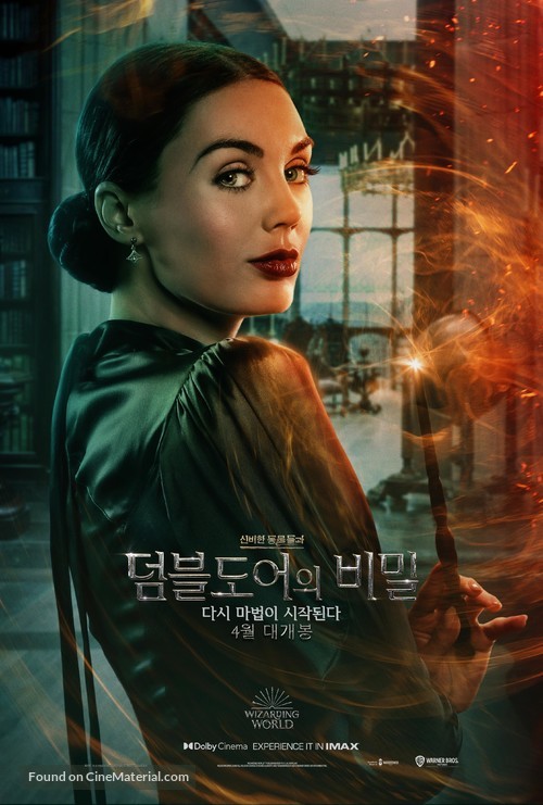 Fantastic Beasts: The Secrets of Dumbledore - South Korean Movie Poster