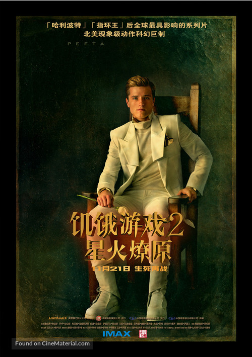 The Hunger Games: Catching Fire - Chinese Movie Poster