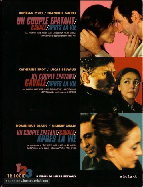 Apr&egrave;s la vie - French DVD movie cover