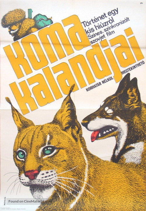 Tropoy beskorystoy lyubvi - Hungarian Movie Poster