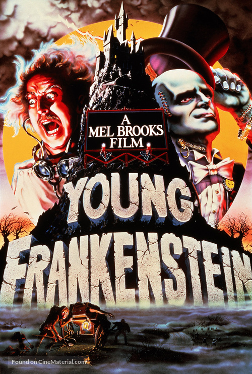 Young Frankenstein - DVD movie cover