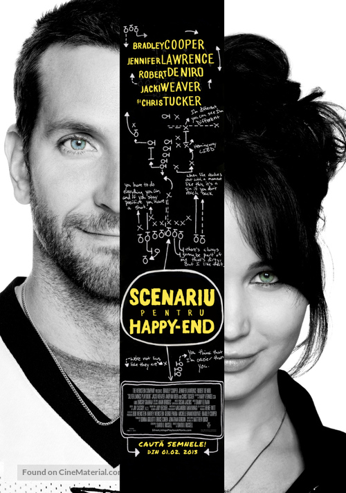 Silver Linings Playbook - Romanian Movie Poster